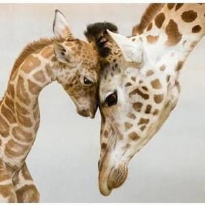 Meet your Posher, Mariam